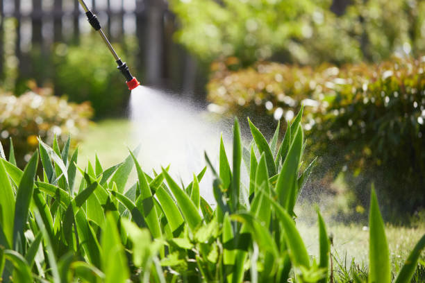 24/7 Emergency Mosquito Control experts in Middleton, ID