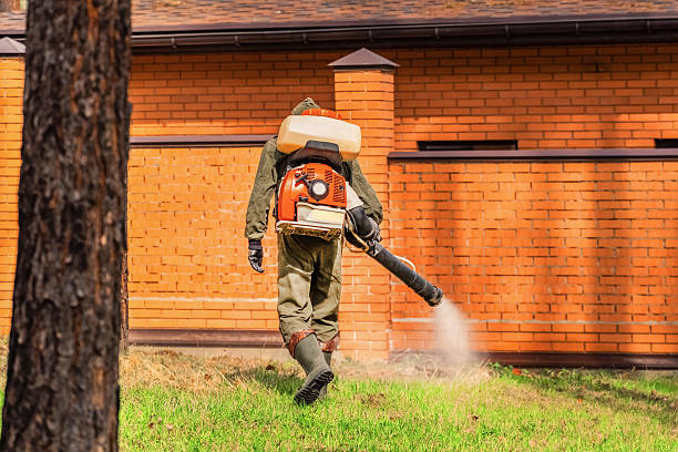 Trusted Mosquito Control service in Middleton, ID - Nex Pest Control